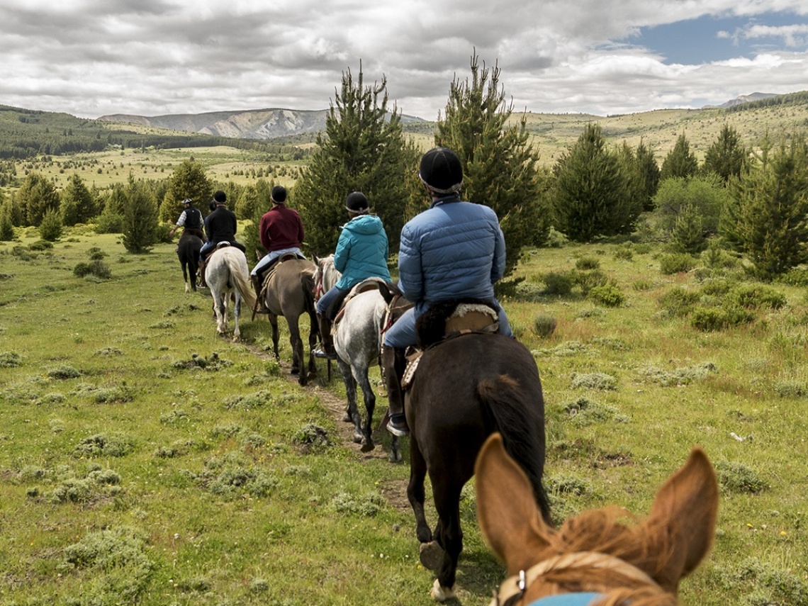 Horseback riding express in the baqueanos forest 8