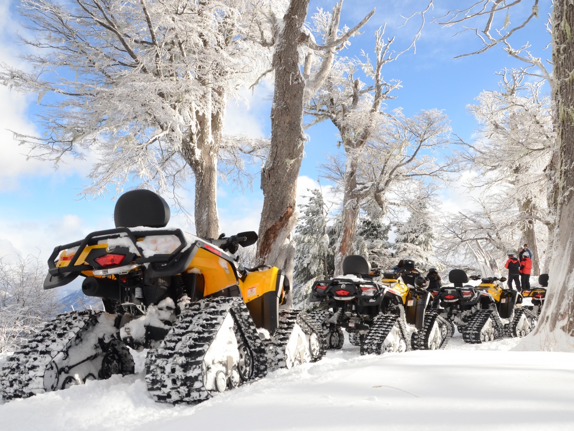 Tracked quadricycles (ATVs with snow chains) 8